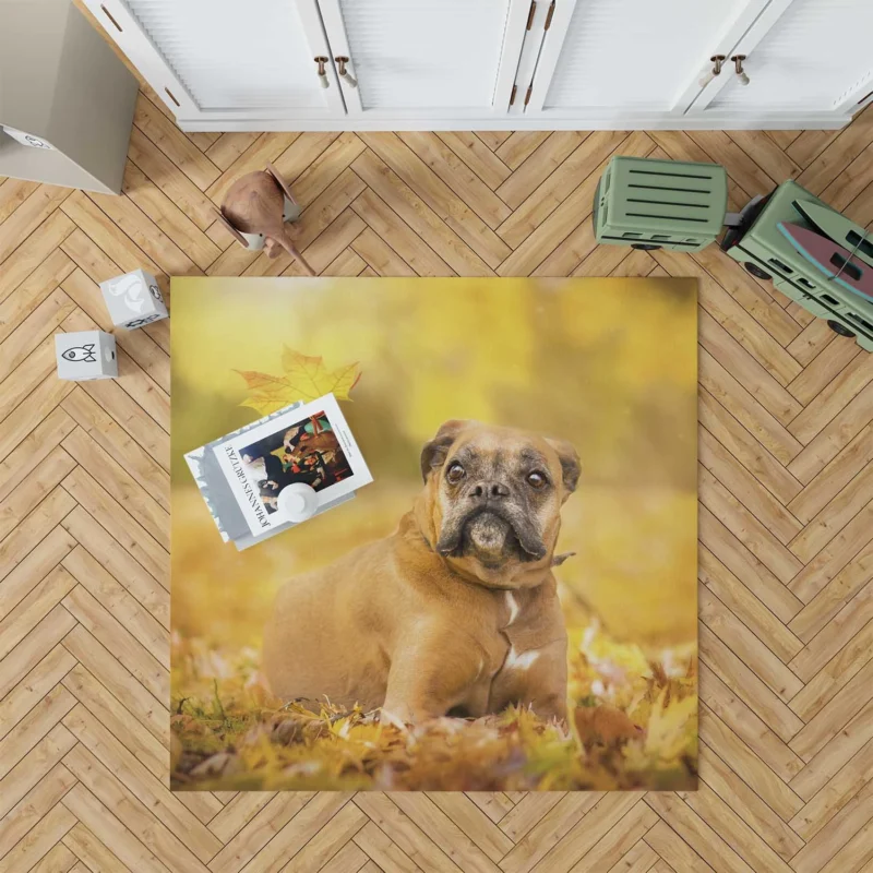 Boxer (Dog) Enjoying Fall with Depth Of Field: Boxer Floor Rug