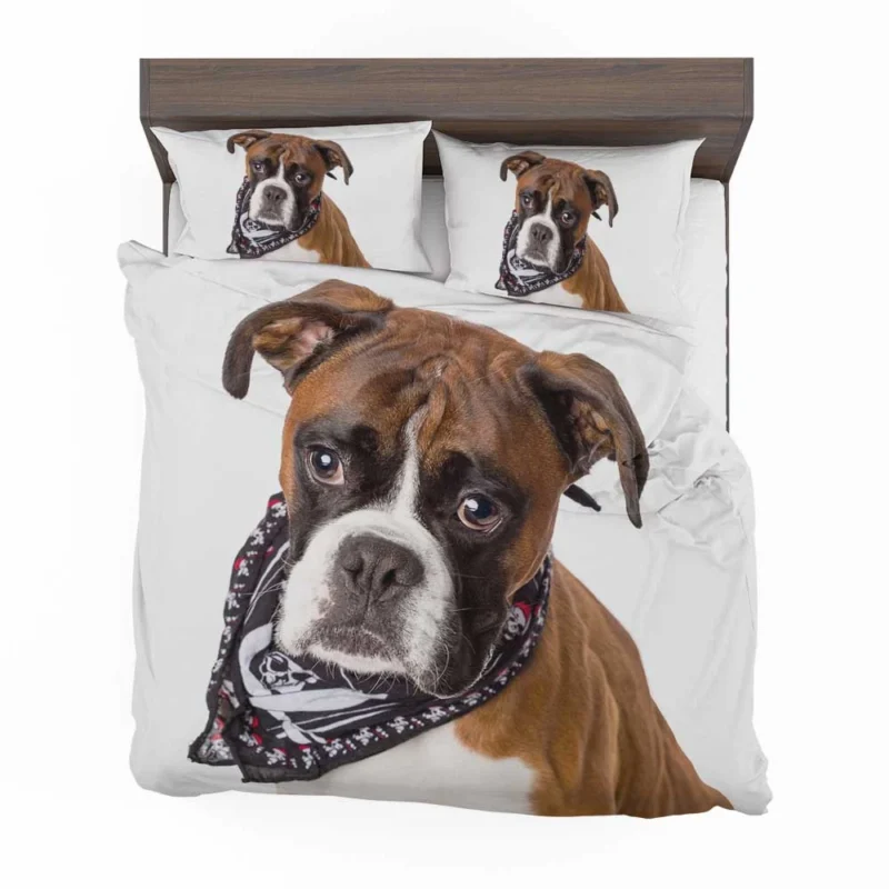 Boxer (Dog) Enjoying Winter with Snow and Depth Of Field: Boxer Bedding Set 1