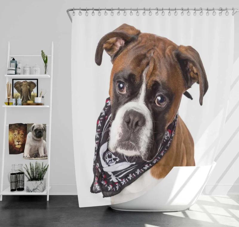 Boxer (Dog) Enjoying Winter with Snow and Depth Of Field: Boxer Shower Curtain