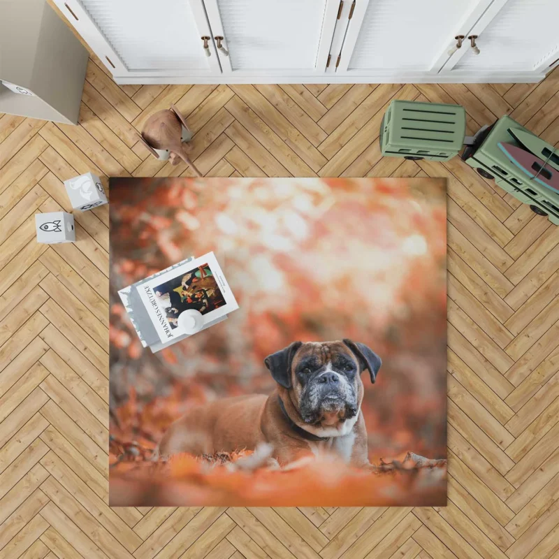 Boxer (Dog) Gaze in Depth Of Field: Boxer Floor Rug