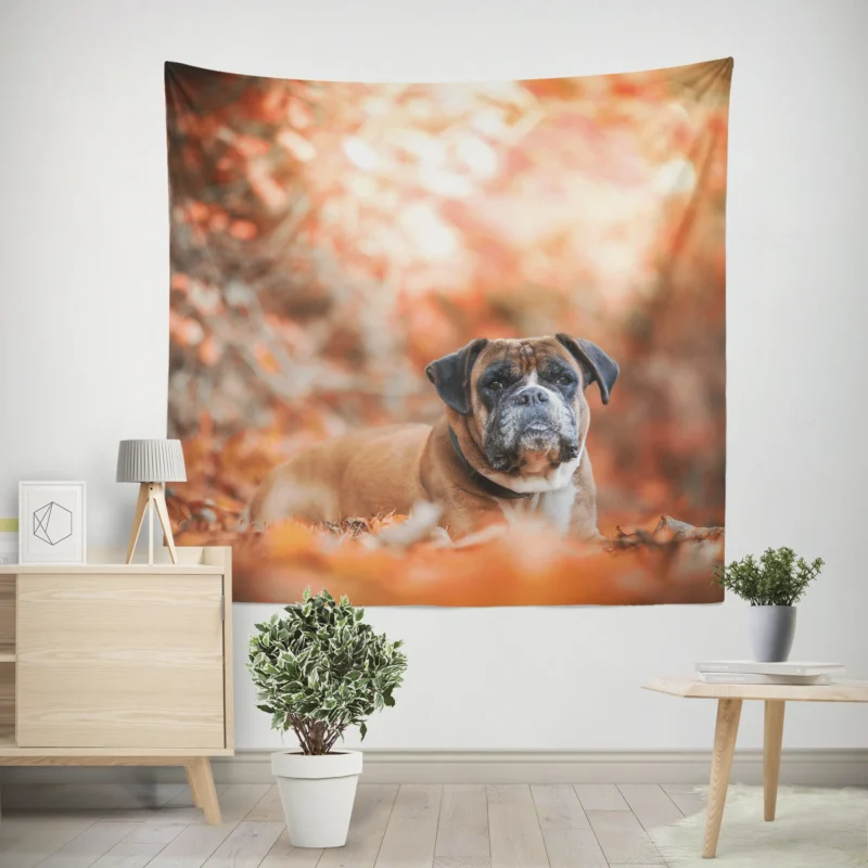 Boxer (Dog) Gaze in Depth Of Field  Boxer Wall Tapestry