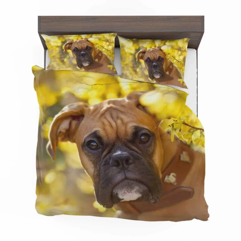 Boxer (Dog) Muzzle in Bokeh Yellow Flower: Boxer Bedding Set 1