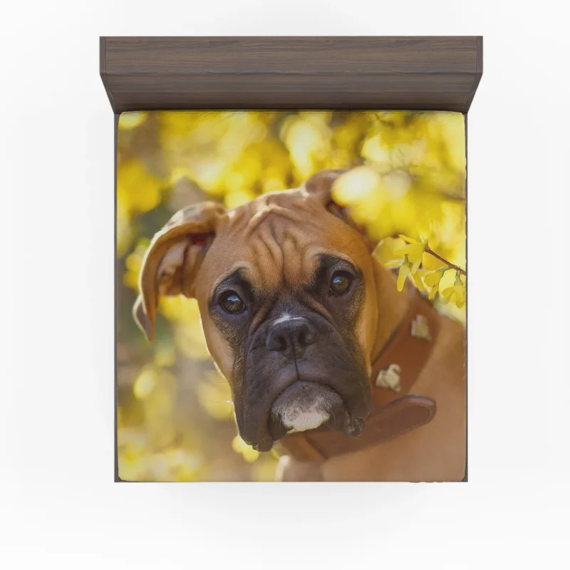 Boxer (Dog) Muzzle in Bokeh Yellow Flower: Boxer Fitted Sheet