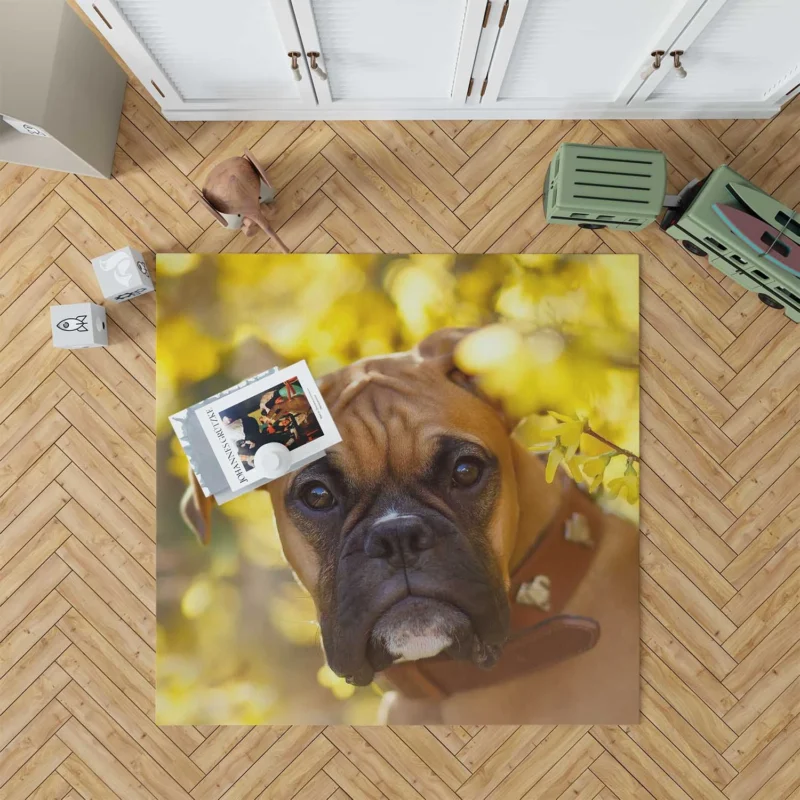 Boxer (Dog) Muzzle in Bokeh Yellow Flower: Boxer Floor Rug