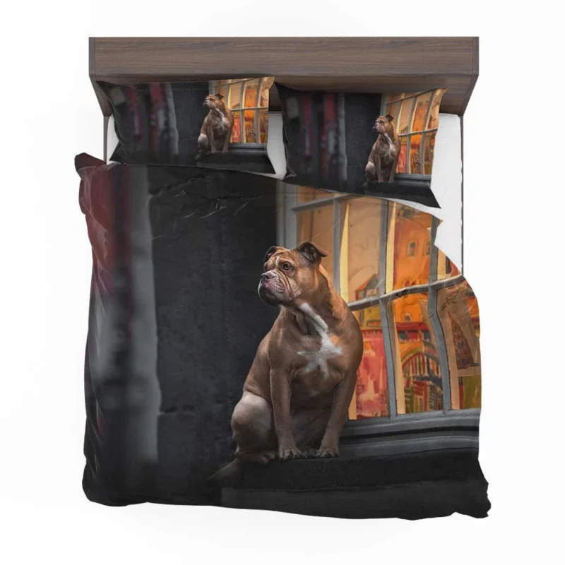Boxer (Dog) Relaxing on a Window Sill: Boxer Bedding Set 1