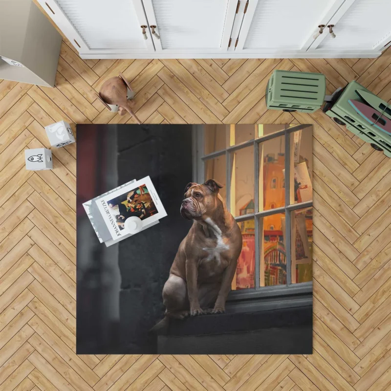 Boxer (Dog) Relaxing on a Window Sill: Boxer Floor Rug