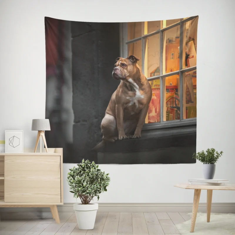 Boxer (Dog) Relaxing on a Window Sill  Boxer Wall Tapestry