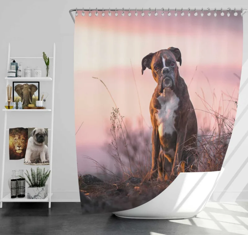 Boxer (Dog) in Depth Of Field: Boxer Shower Curtain