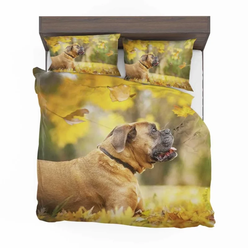 Boxer (Dog) in the Fall with Leaves and Depth Of Field: Boxer Bedding Set 1