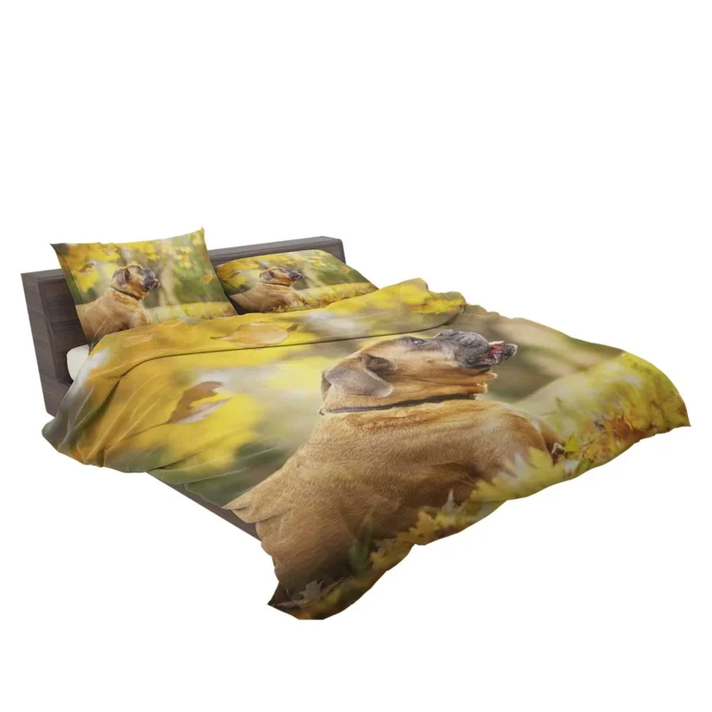 Boxer (Dog) in the Fall with Leaves and Depth Of Field: Boxer Bedding Set 2