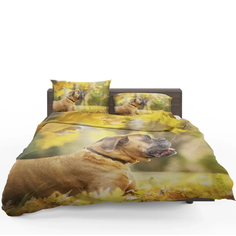 Boxer (Dog) in the Fall with Leaves and Depth Of Field: Boxer Bedding Set