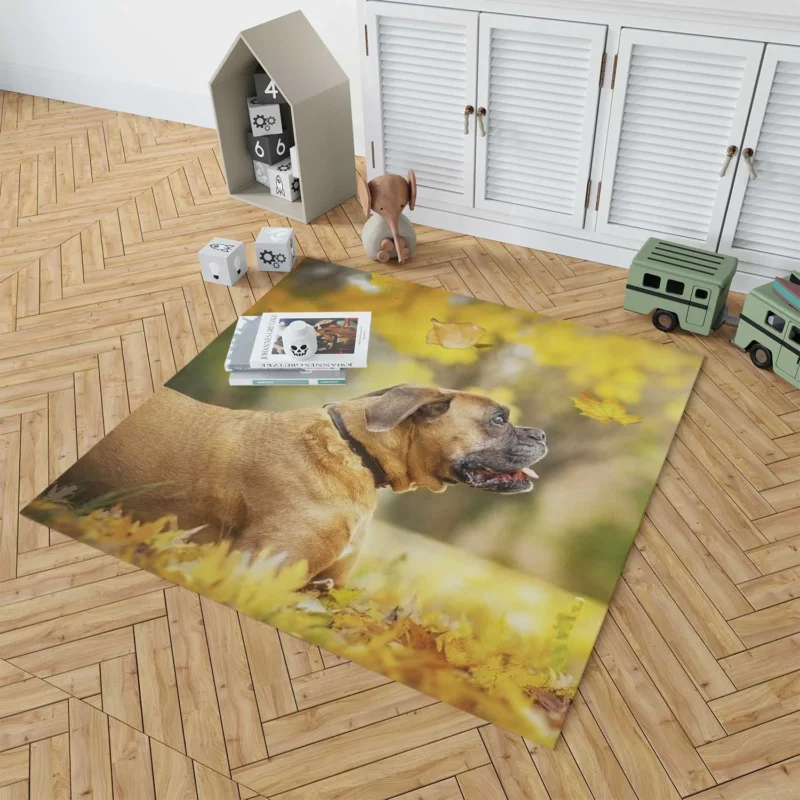 Boxer (Dog) in the Fall with Leaves and Depth Of Field: Boxer Floor Rug 1