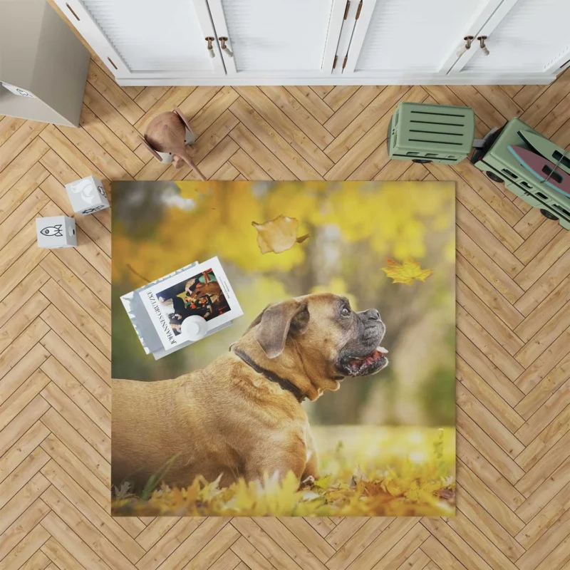 Boxer (Dog) in the Fall with Leaves and Depth Of Field: Boxer Floor Rug