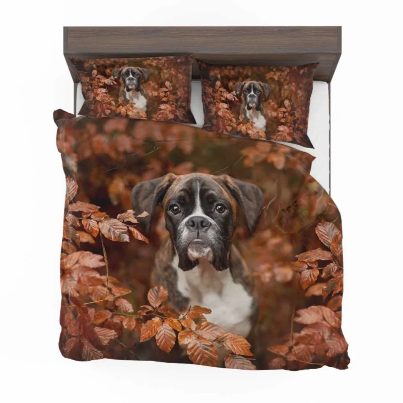 Boxer (Dog) with Muzzle and Branch in the Fall: Boxer Bedding Set 1