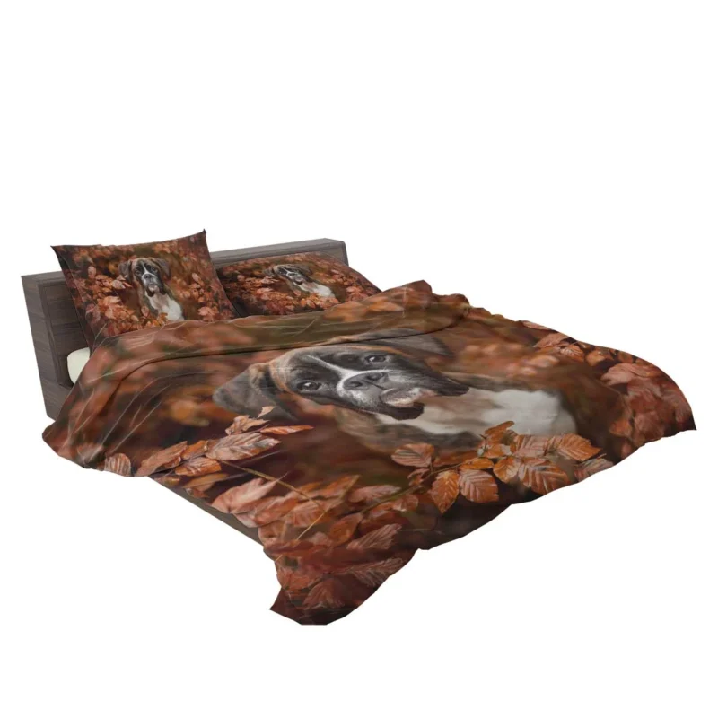 Boxer (Dog) with Muzzle and Branch in the Fall: Boxer Bedding Set 2