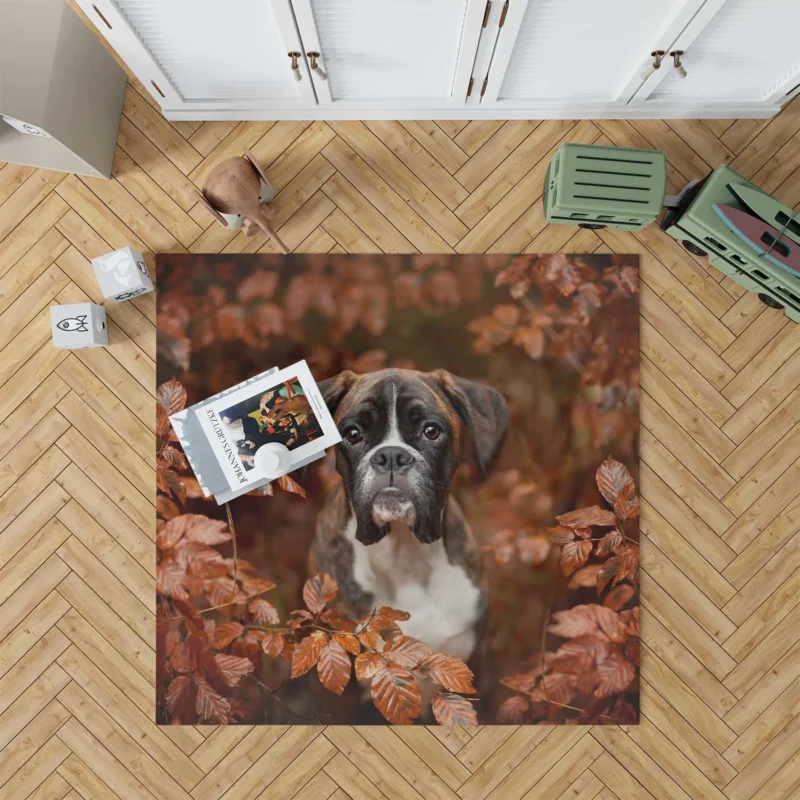 Boxer (Dog) with Muzzle and Branch in the Fall: Boxer Floor Rug