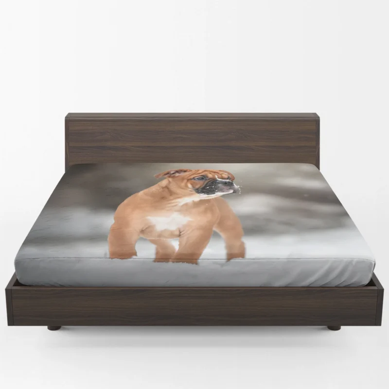 Bracco Italiano in Snowy Winter Scenery: Bracco Italiano Fitted Sheet 1