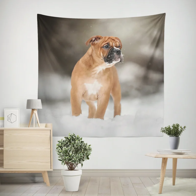 Bracco Italiano in Snowy Winter Scenery  Bracco Italiano Wall Tapestry