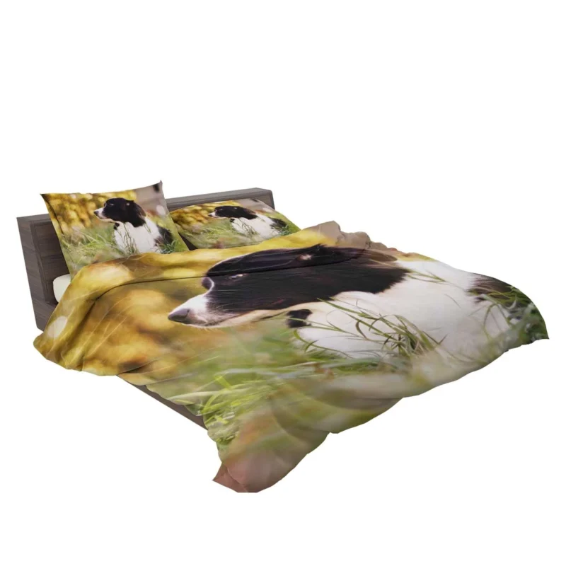 Bright and Energetic Border Collie: Border Collie Bedding Set 2