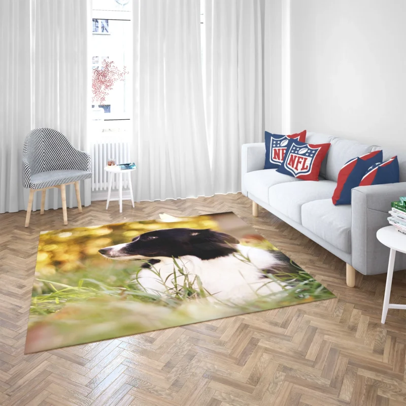 Bright and Energetic Border Collie: Border Collie Floor Rug 2