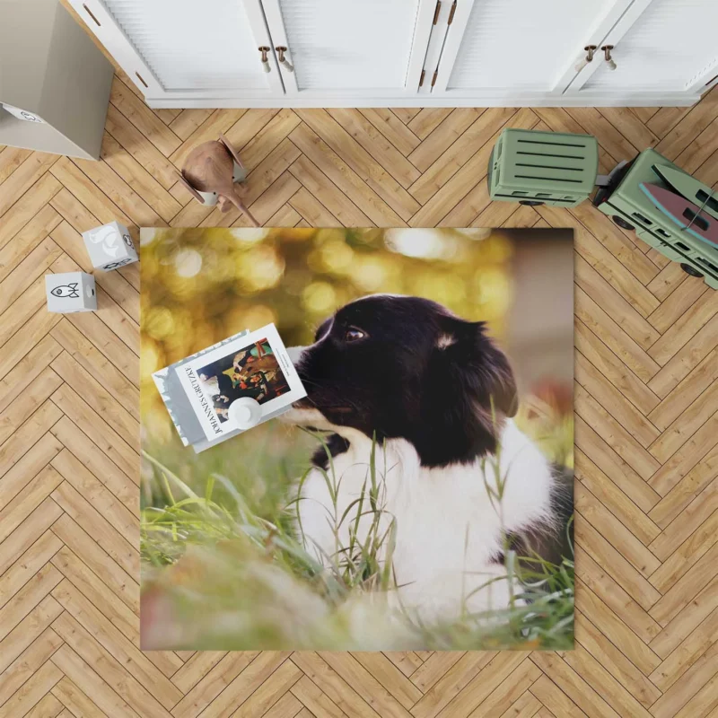 Bright and Energetic Border Collie: Border Collie Floor Rug