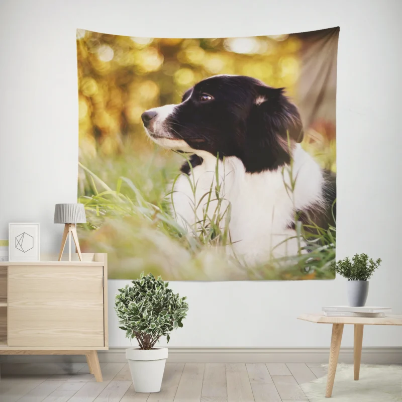 Bright and Energetic Border Collie  Border Collie Wall Tapestry