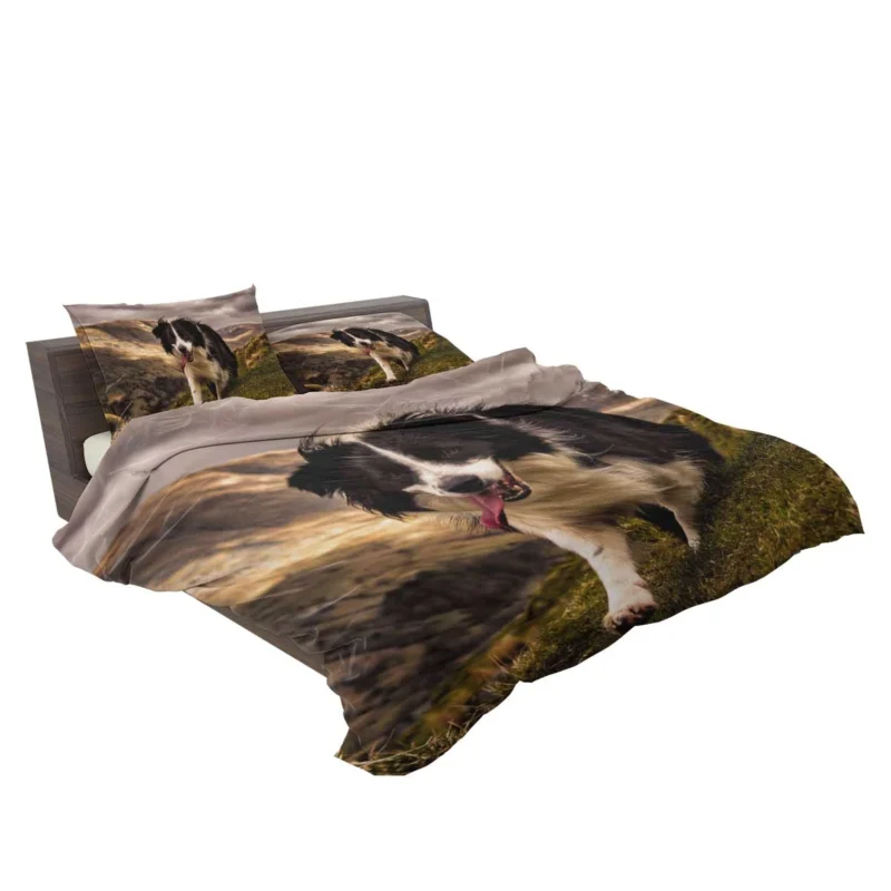 Bright and Playful Border Collie: Border Collie Bedding Set 2
