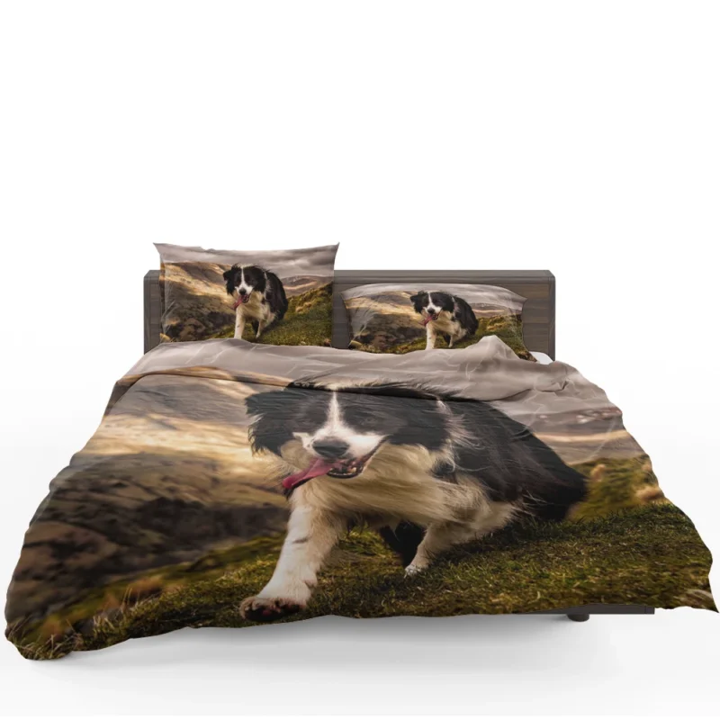 Bright and Playful Border Collie: Border Collie Bedding Set