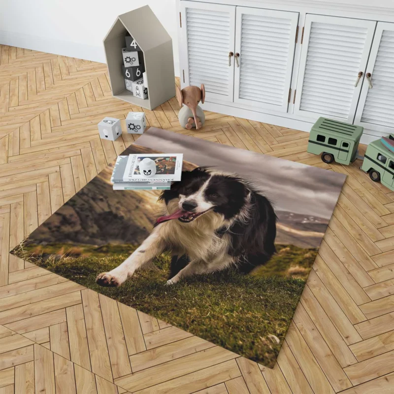 Bright and Playful Border Collie: Border Collie Floor Rug 1