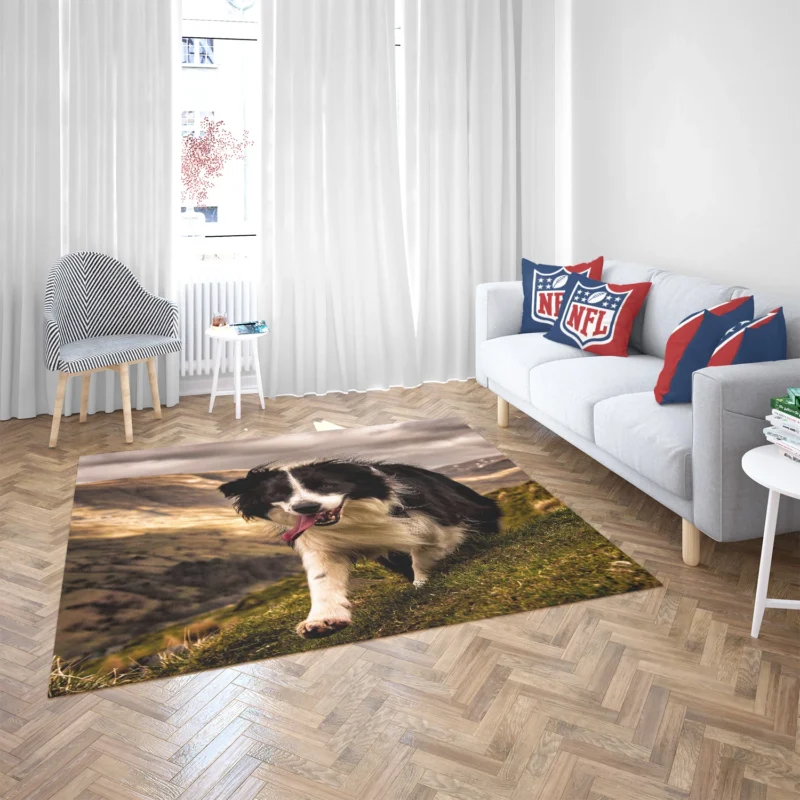 Bright and Playful Border Collie: Border Collie Floor Rug 2