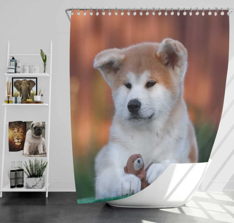 Bringing Joy: Puppies of the Akita Quartet Shower Curtain