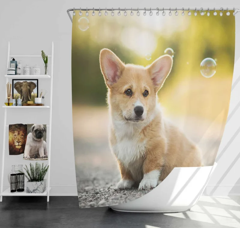 Bubbly Bauble with Depth of Field: Corgi Quartet Shower Curtain