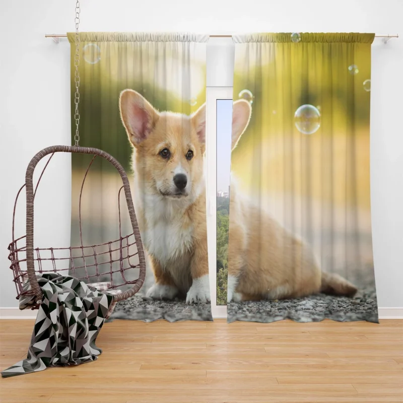 Bubbly Bauble with Depth of Field: Corgi Quartet Window Curtain