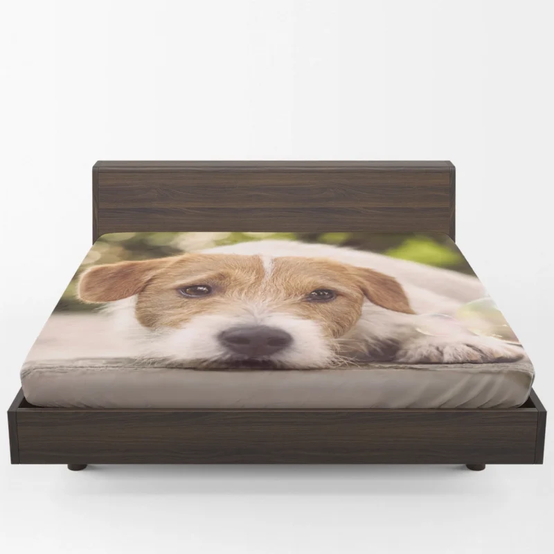 Bubbly Quartet of Fun: Jack Russell Terriers Fitted Sheet 1