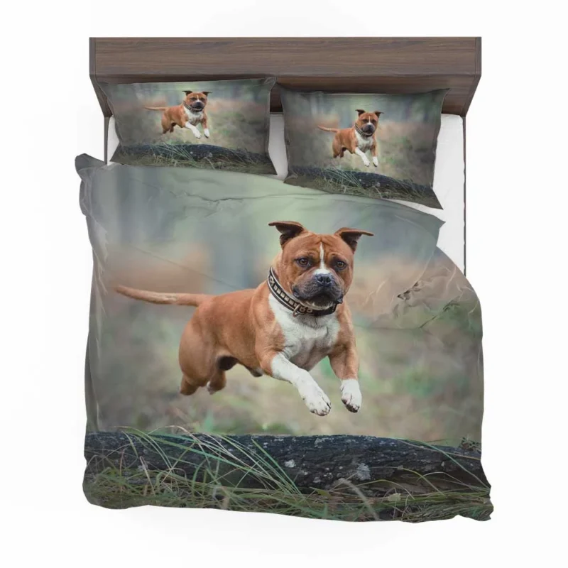 Bull Terrier and Staffordshire Bull Terrier Beauty: Bull Terrier Bedding Set 1