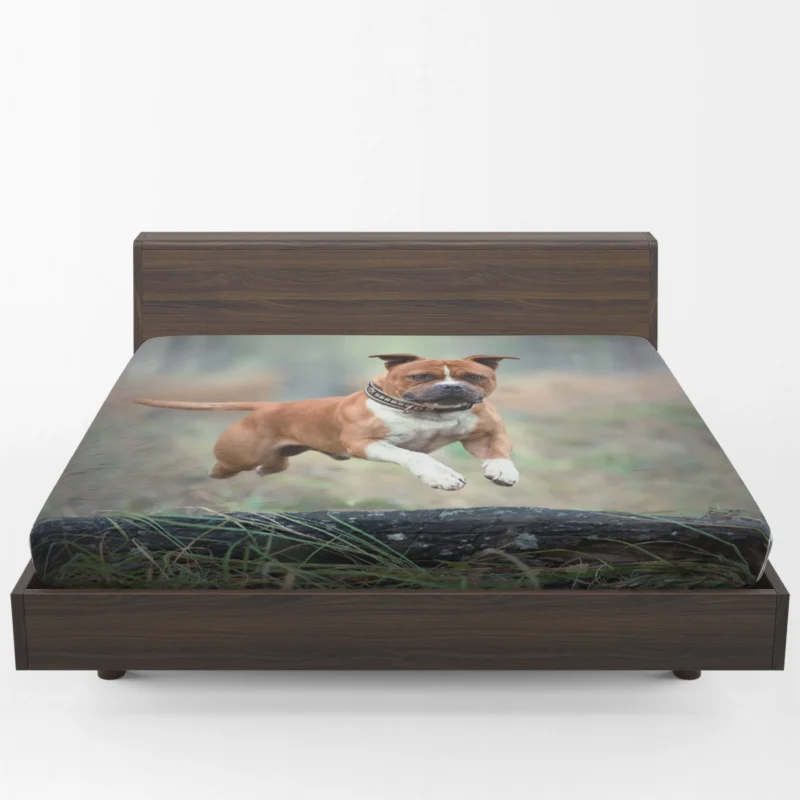 Bull Terrier and Staffordshire Bull Terrier Beauty: Bull Terrier Fitted Sheet 1