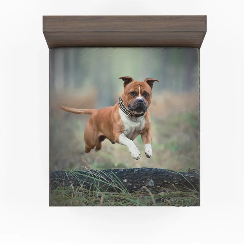 Bull Terrier and Staffordshire Bull Terrier Beauty: Bull Terrier Fitted Sheet