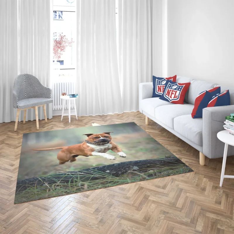 Bull Terrier and Staffordshire Bull Terrier Beauty: Bull Terrier Floor Rug 2