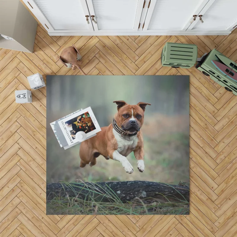 Bull Terrier and Staffordshire Bull Terrier Beauty: Bull Terrier Floor Rug