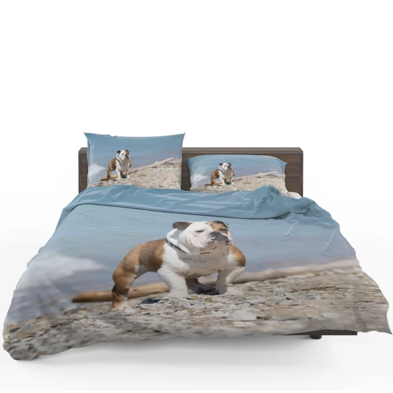 Bulldog Beauty at Its Best: Bulldog Quartet Bedding Set