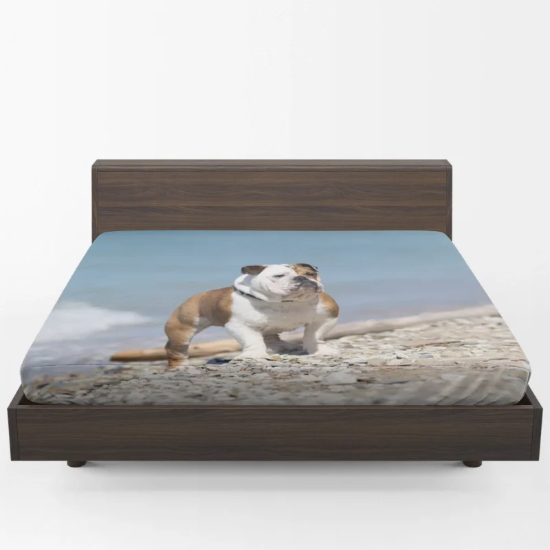 Bulldog Beauty at Its Best: Bulldog Quartet Fitted Sheet 1