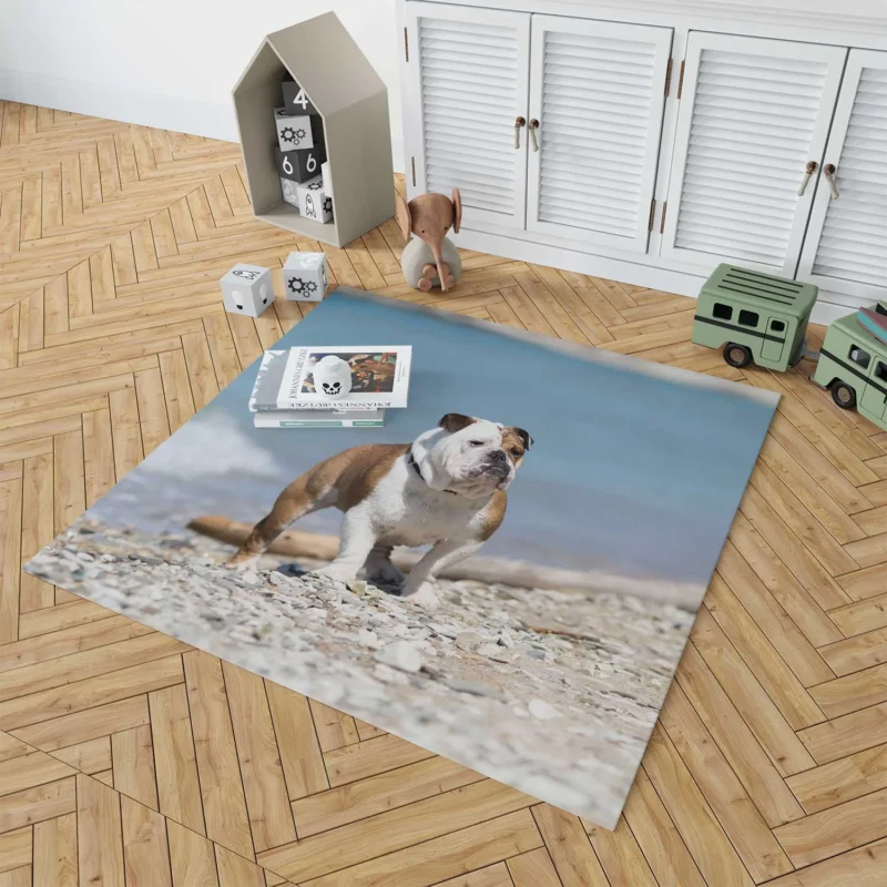 Bulldog Beauty at Its Best: Bulldog Quartet Floor Rug 1