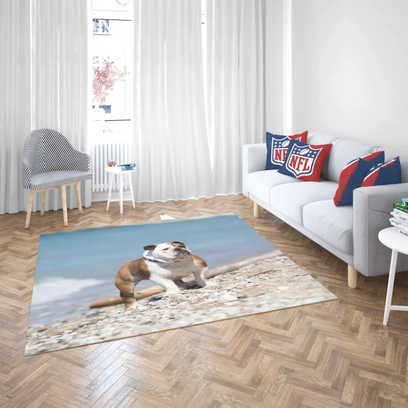 Bulldog Beauty at Its Best: Bulldog Quartet Floor Rug 2