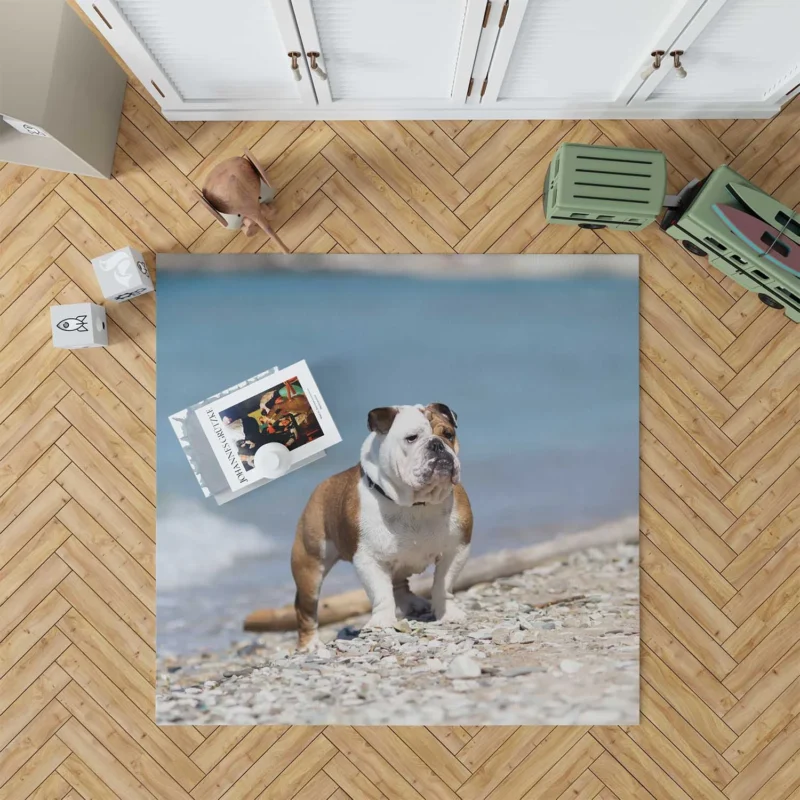 Bulldog Beauty at Its Best: Bulldog Quartet Floor Rug