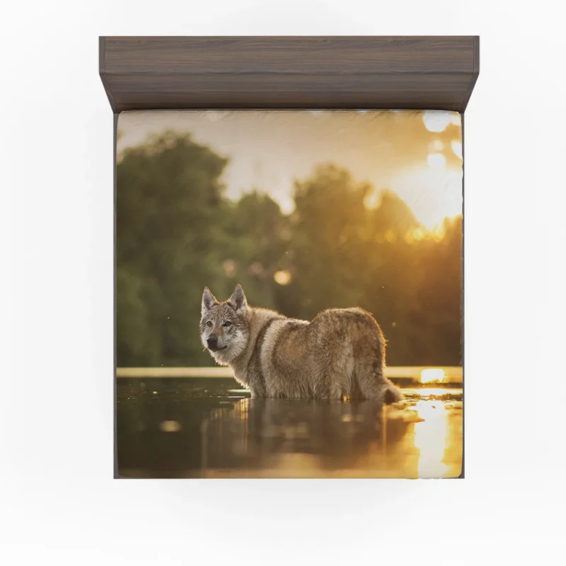 By the River: Czechoslovakian Wolfdog Quartet Fitted Sheet