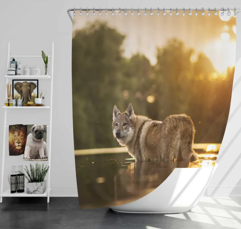 By the River: Czechoslovakian Wolfdog Quartet Shower Curtain