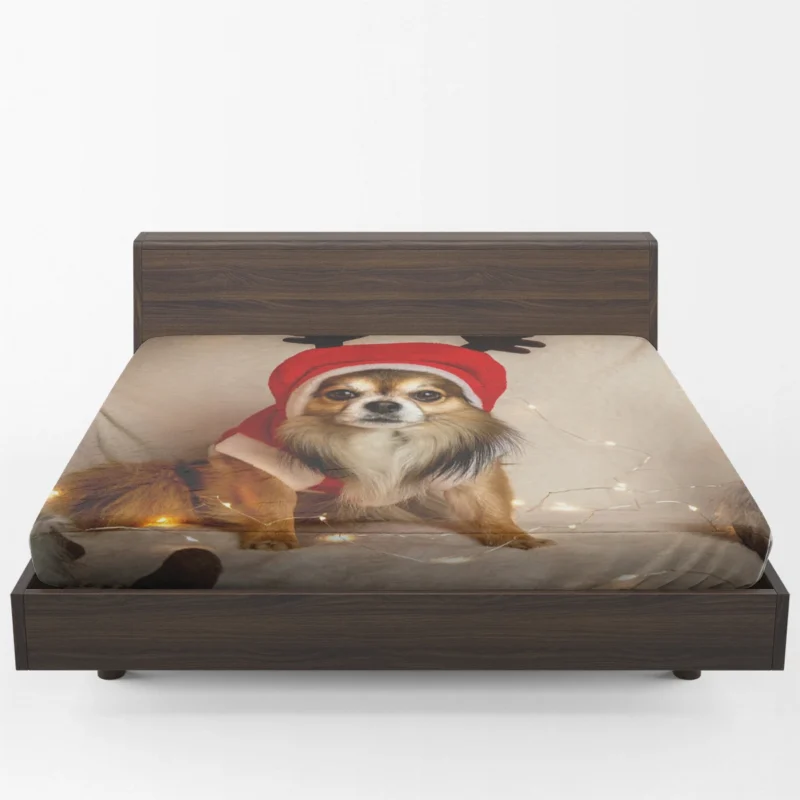 Calm Tiny Treasures: Chihuahua Quartet Fitted Sheet 1