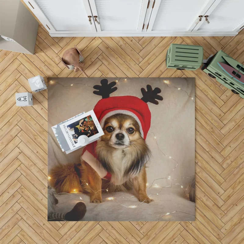 Calm Tiny Treasures: Chihuahua Quartet Floor Rug