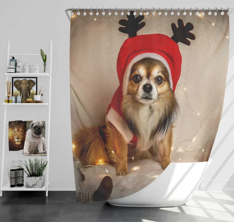 Calm Tiny Treasures: Chihuahua Quartet Shower Curtain