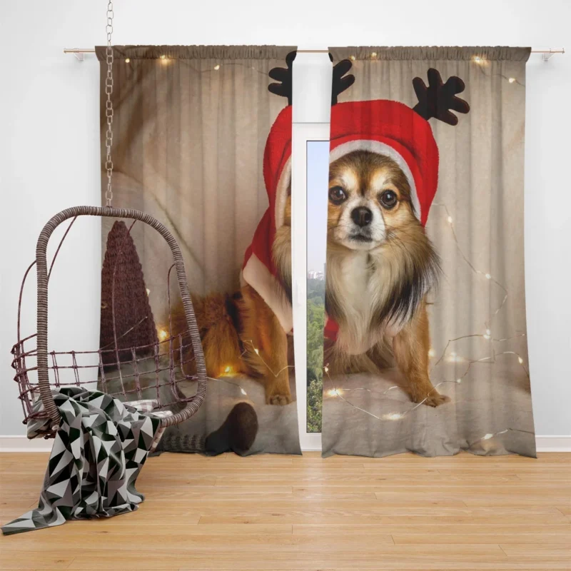 Calm Tiny Treasures: Chihuahua Quartet Window Curtain